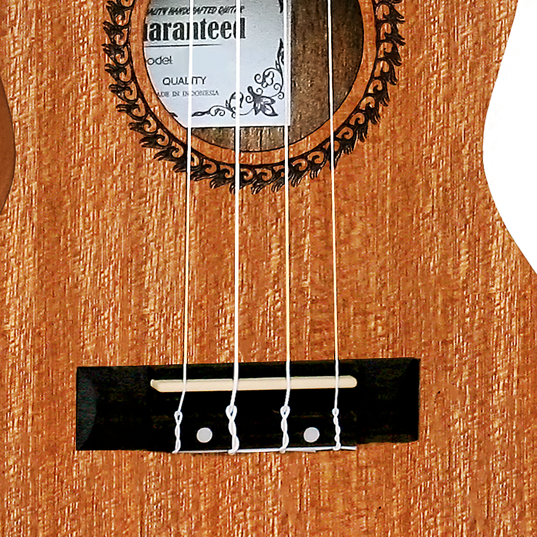 SK-300-Bridge SK-300-Bridge