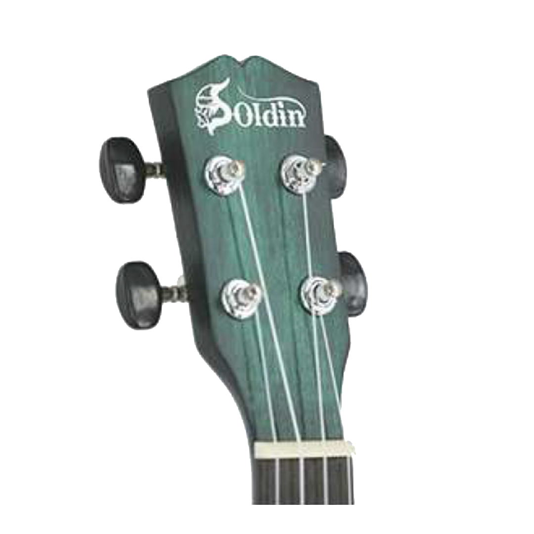 SK-2100A BL-Head SK-2100A BL-Head