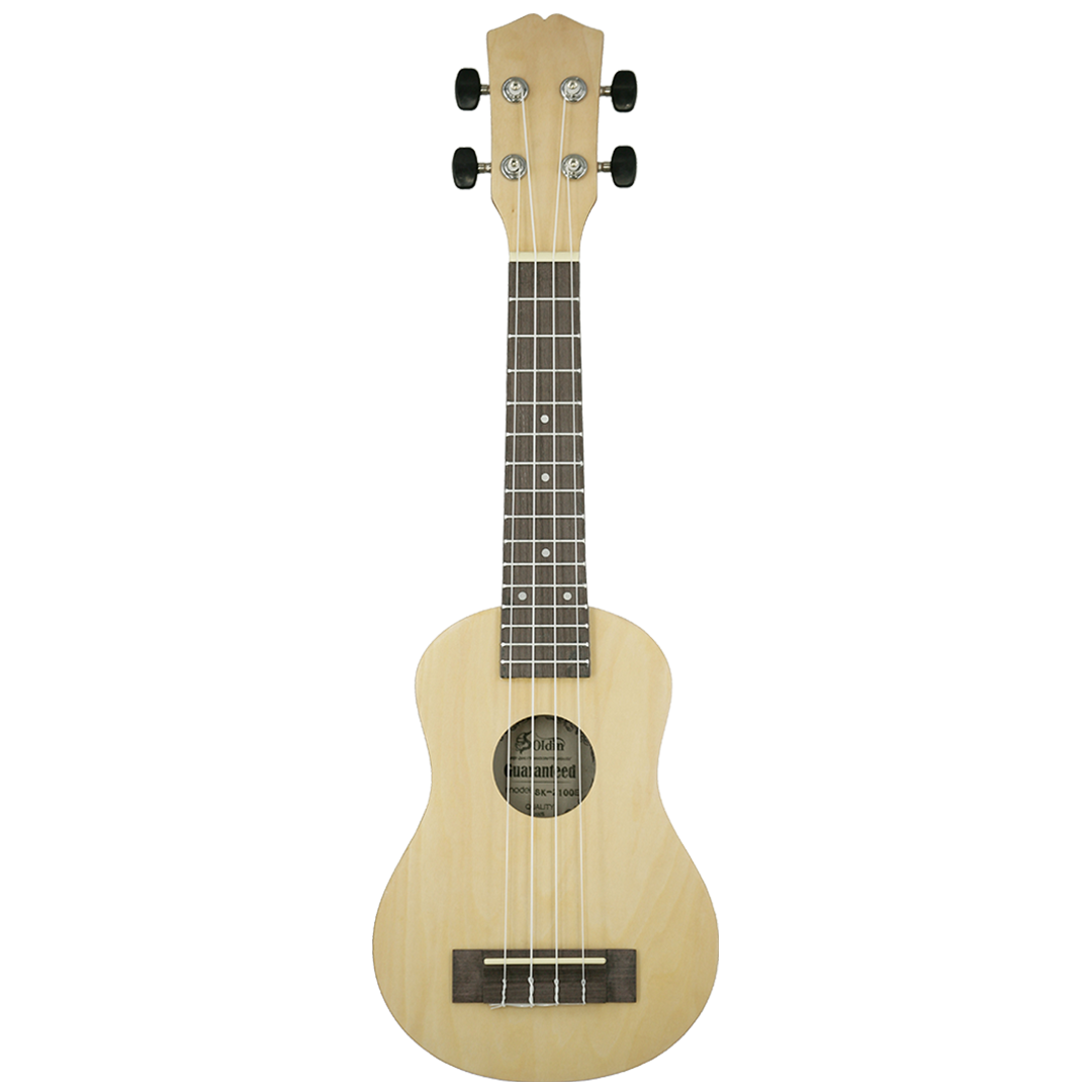 SK-2100E-Front SK-2100E-Front