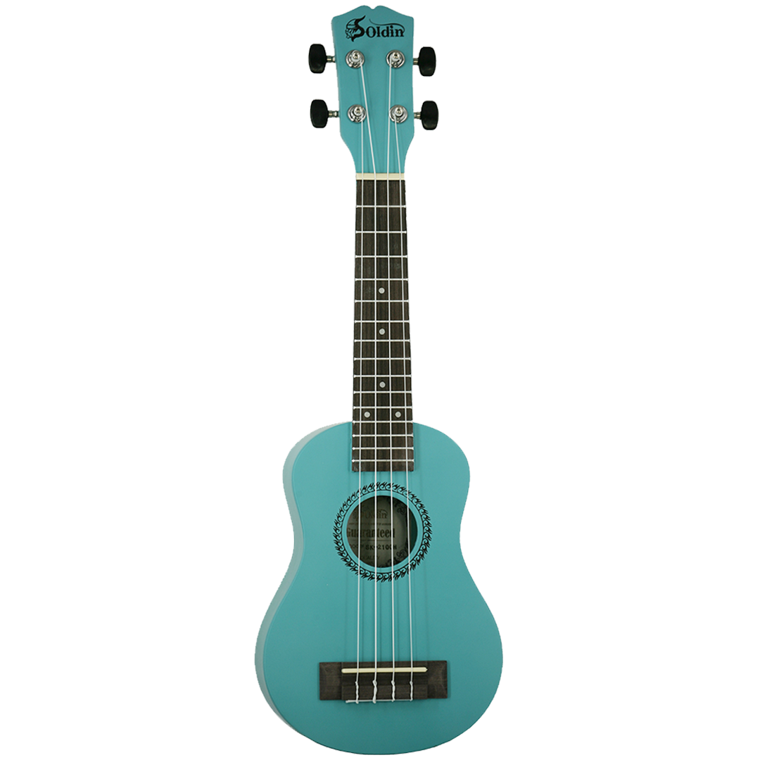 SK-2100G GN-Front SK-2100G GN-Front