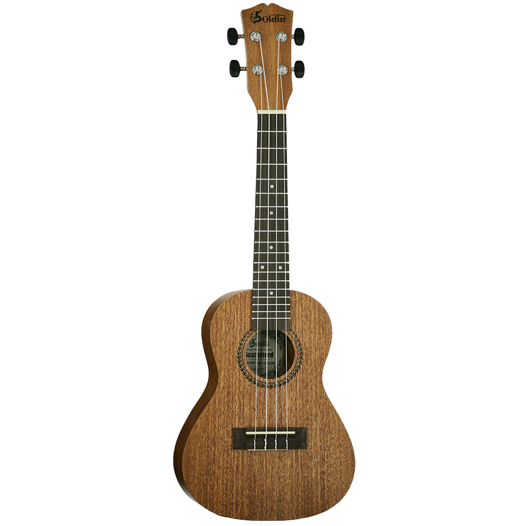 SK-2422N-NS SK-2422N-NS