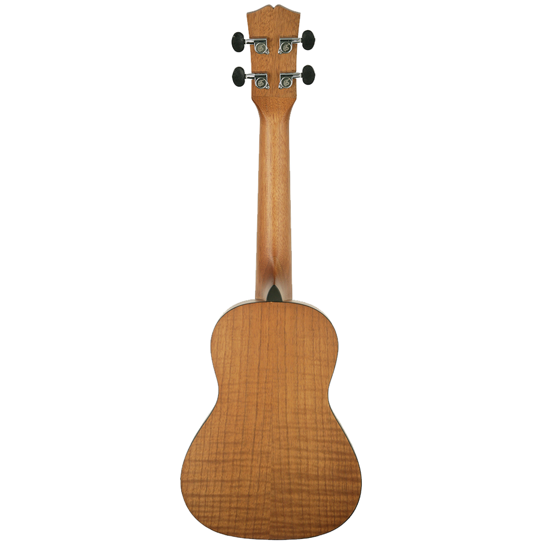 SK-2434-Back SK-2434-Back