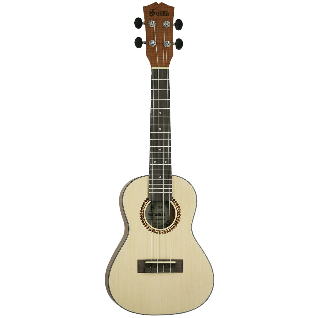 SK-2434-Front SK-2434-Front