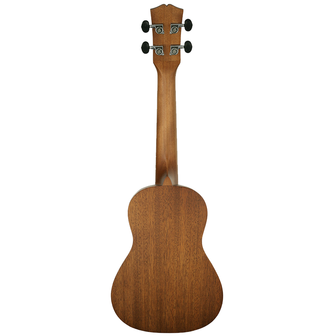 SK-2472M-Back SK-2472M-Back