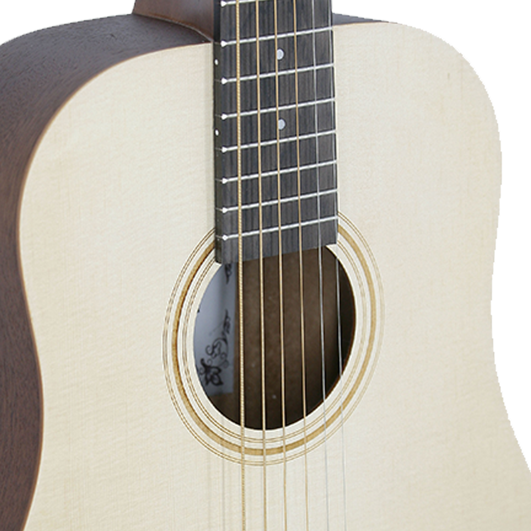 SA-3431-Rosette SA-3431-Rosette