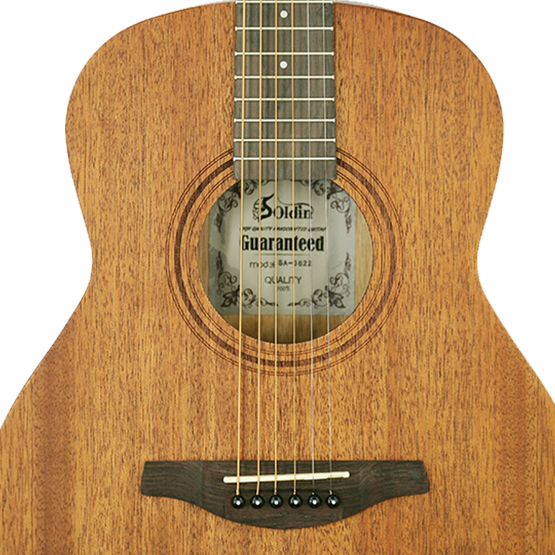 SA3622-Rosette SA3622-Rosette