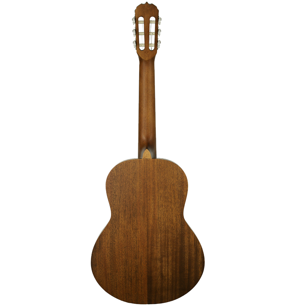 SC-3622-Back SC-3622-Back