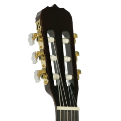 SC-3630-Head SC-3630-Head