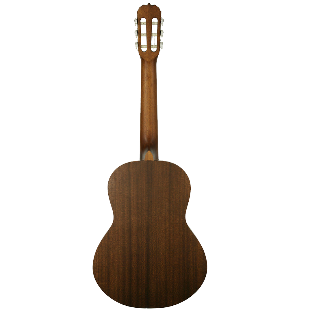 SC-3631-Back SC-3631-Back