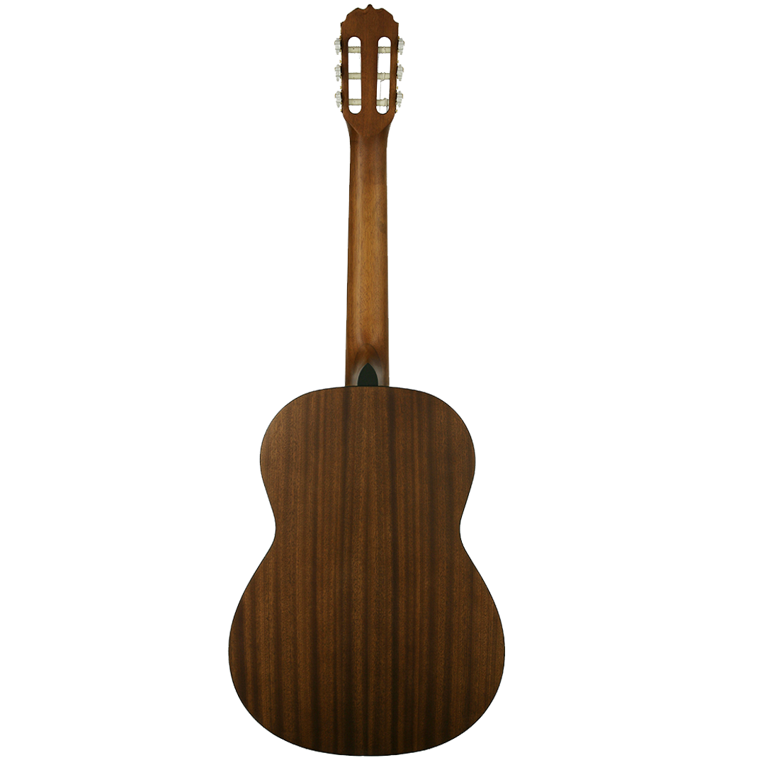 SC-3931-Back SC-3931-Back