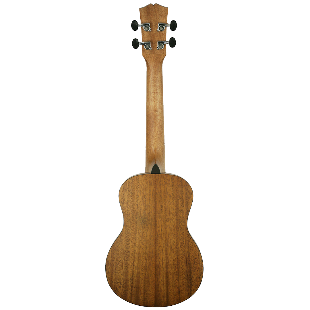 SK-2622M-Back SK-2622M-Back