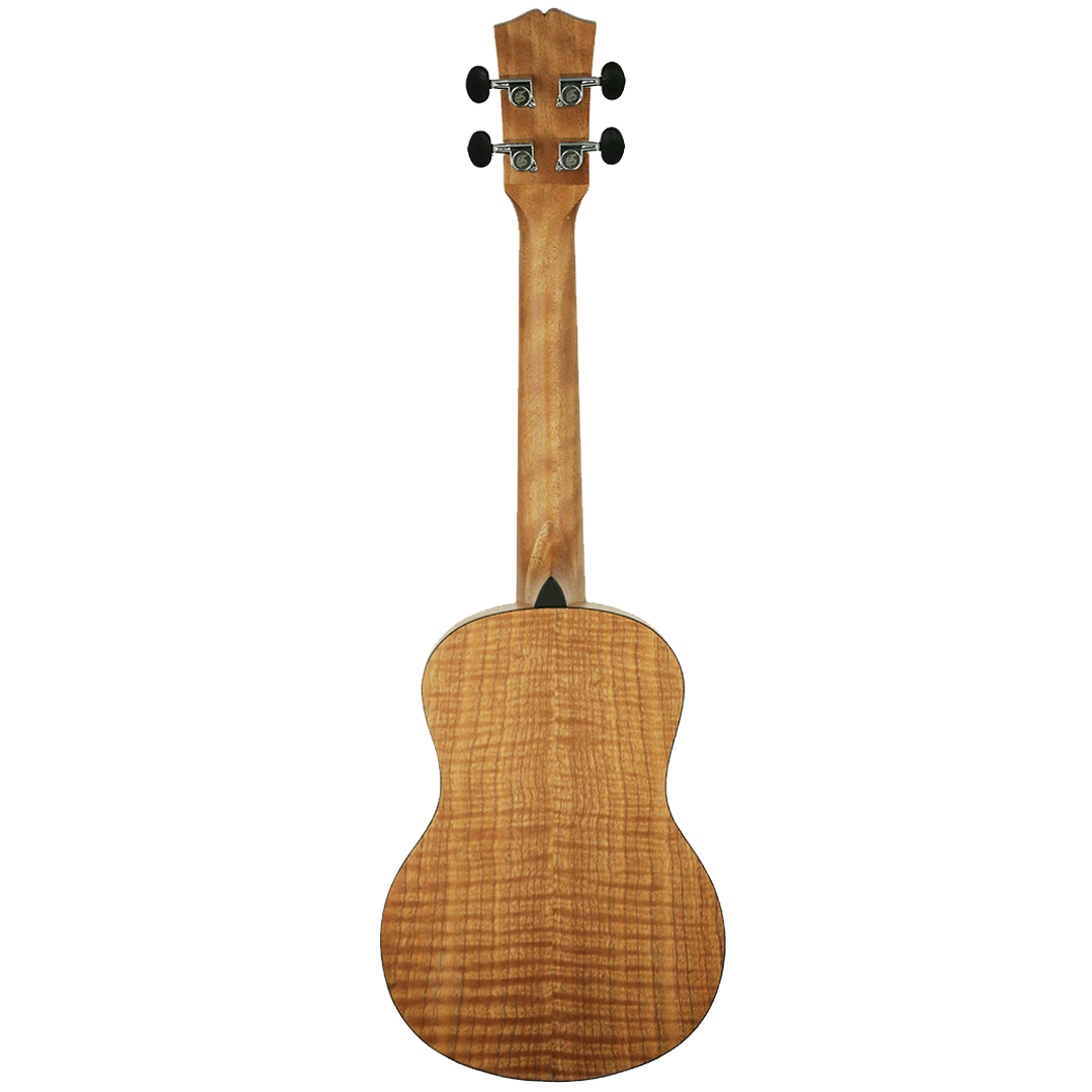 SK-2634-Back SK-2634-Back