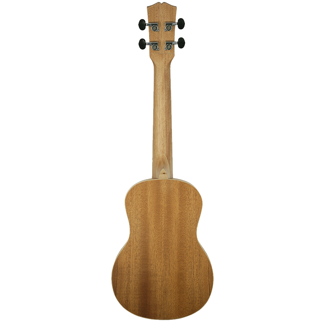 SK-2672M-Back SK-2672M-Back