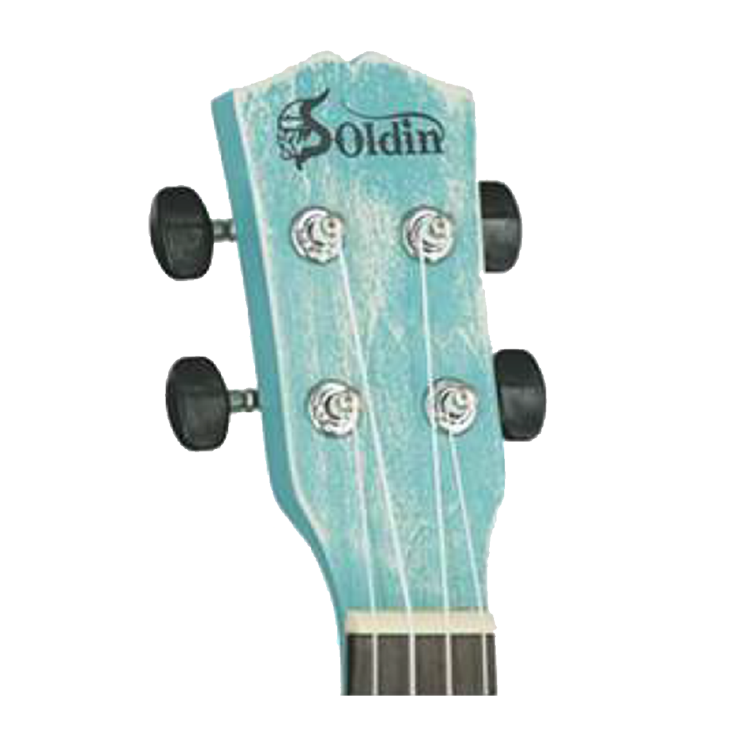 SK-2100B BL-Head SK-2100B BL-Head