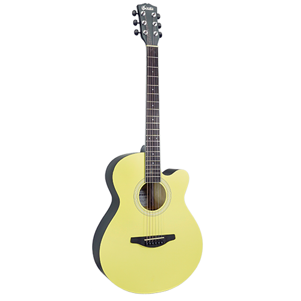 SA3622-Rosette SA3622-Rosette