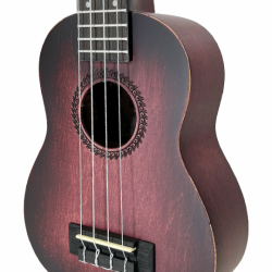 SK-2432-Rosette SK-2432-Rosette