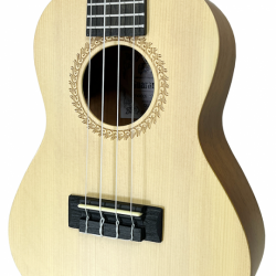 SK-2432-Rosette SK-2432-Rosette