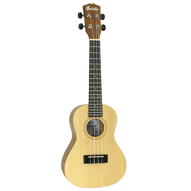 SK-2472N-Rosette SK-2472N-Rosette