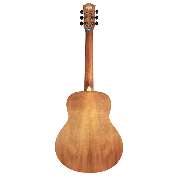 SA3655-BACK SA3655-BACK