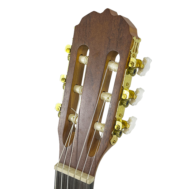 SC-3971-HEAD SC-3971-HEAD